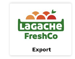 Bloc 3 lagache export