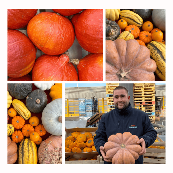 Jason et les Courges de chez LAGACHE
